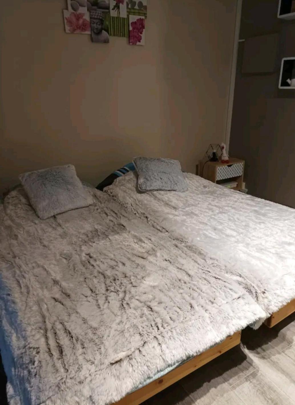 Le Cocon De Sausheim Apartment Room photo